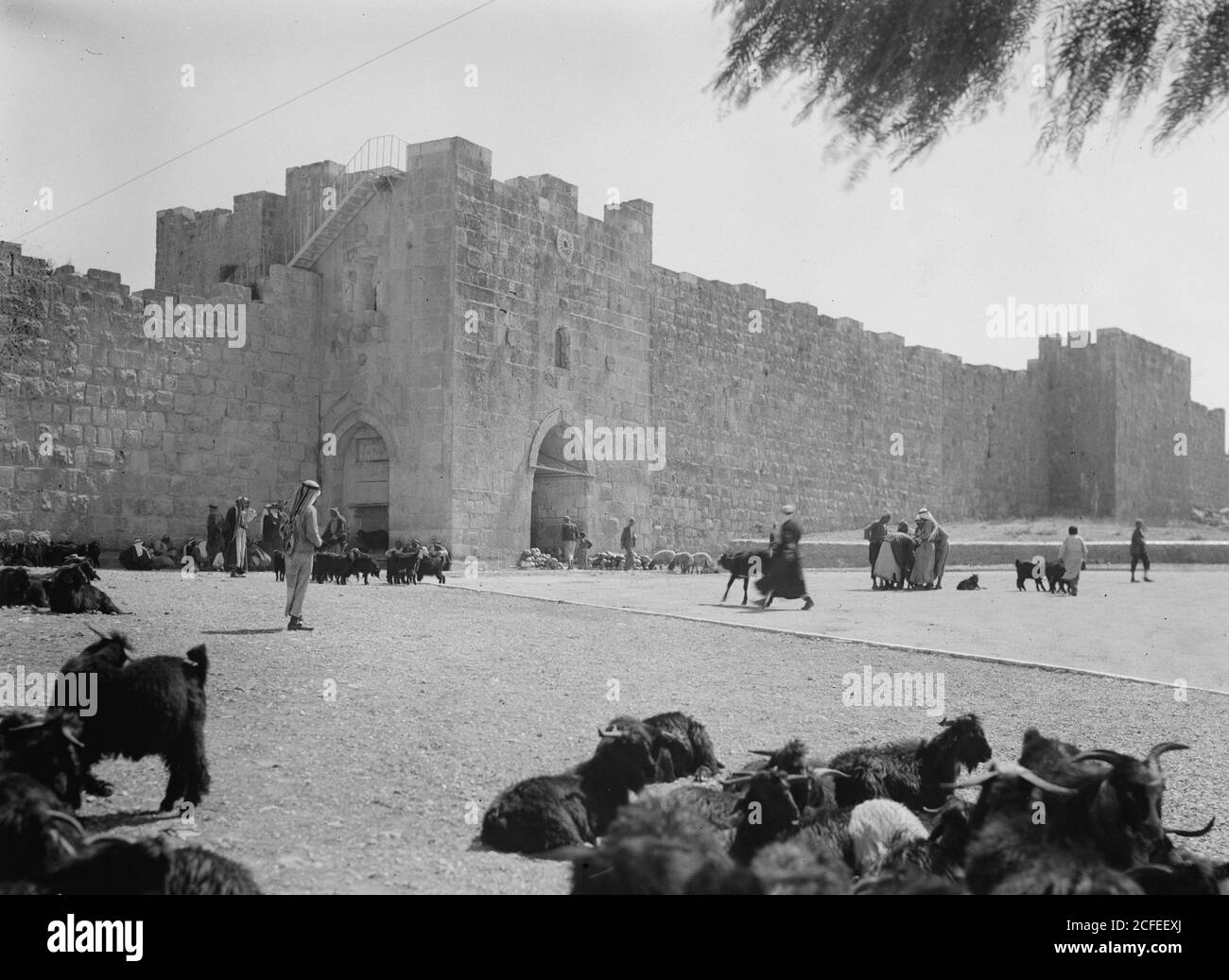 Jerusalem herod's gate hi-res stock photography and images - Alamy