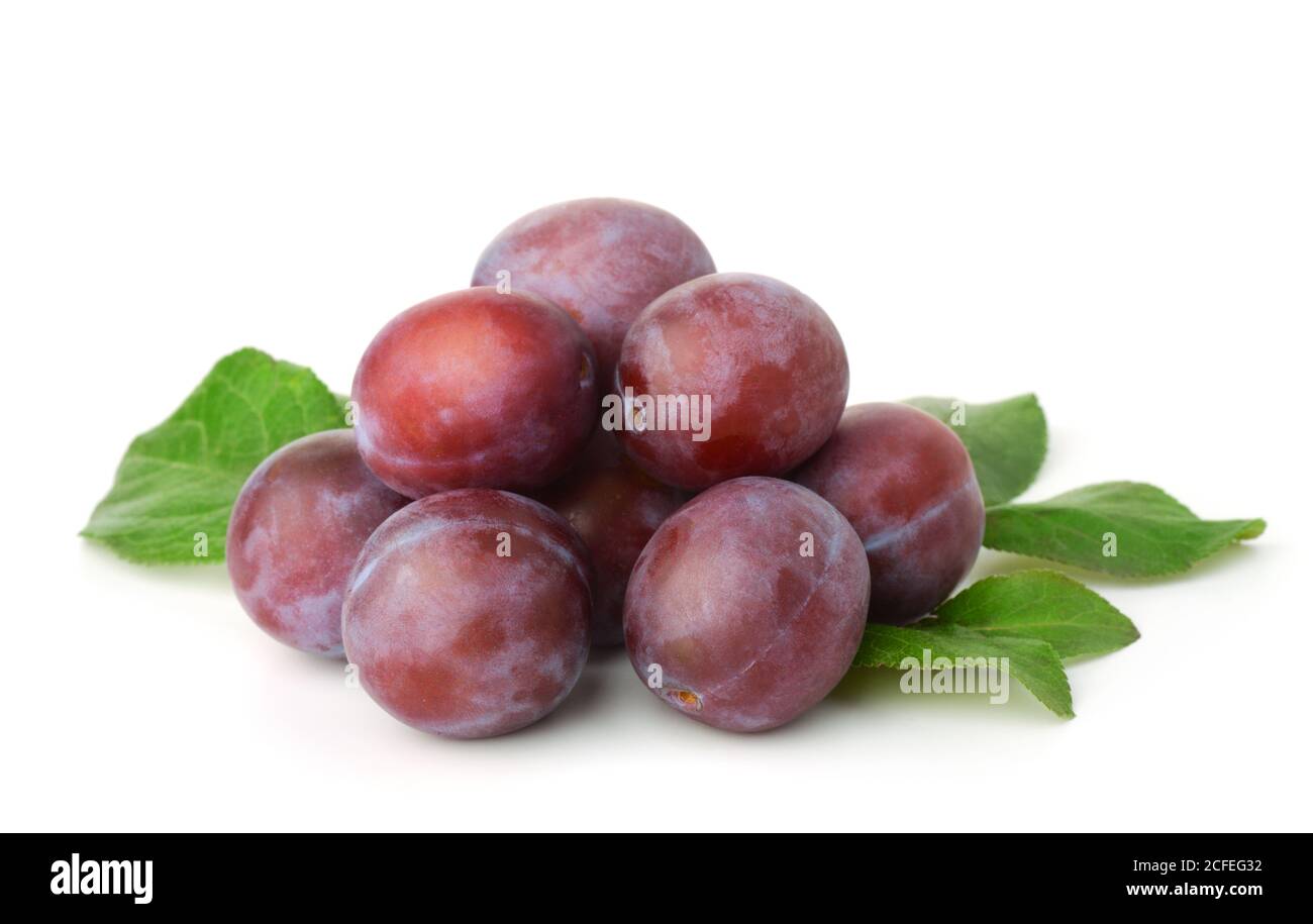 Group of fresh purple plums and leaves isolated on white Stock Photo
