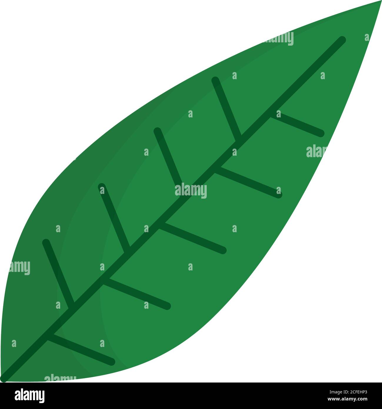 leaf plant ecology isolated icon vector illustration design Stock ...