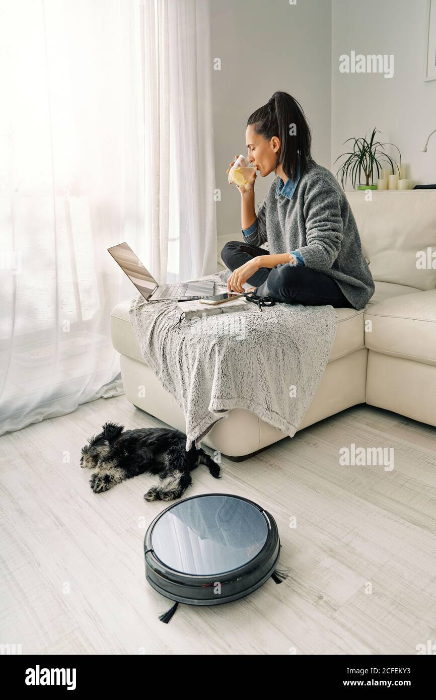 Woman sitting on sofa in light room working on a computer and drinking cold beverage with cute puppy lying down next round black robotic vacuum cleaner Stock Photo
