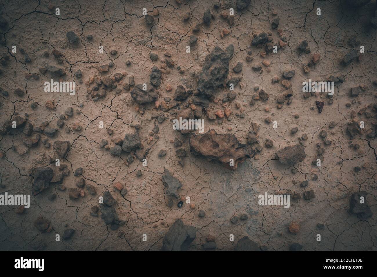 Dry desert cracked area with stony elements Stock Photo