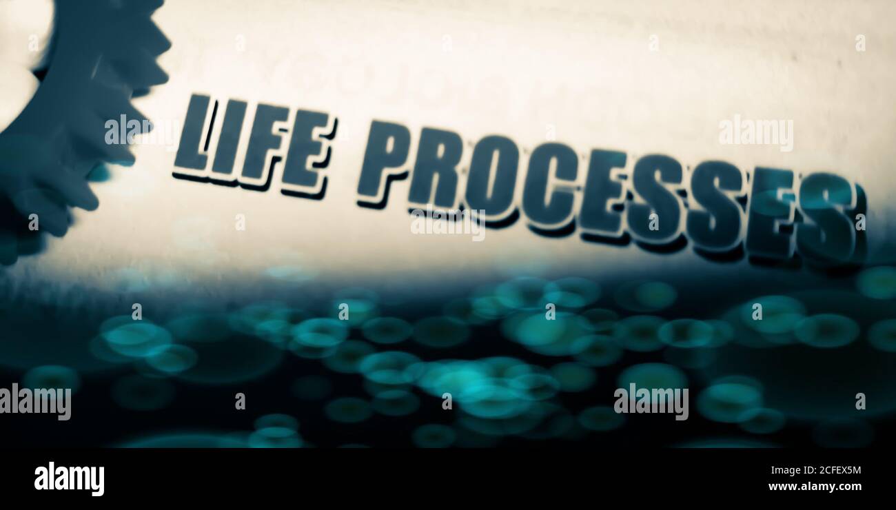 Life Process word presented on text form for education awareness Stock ...