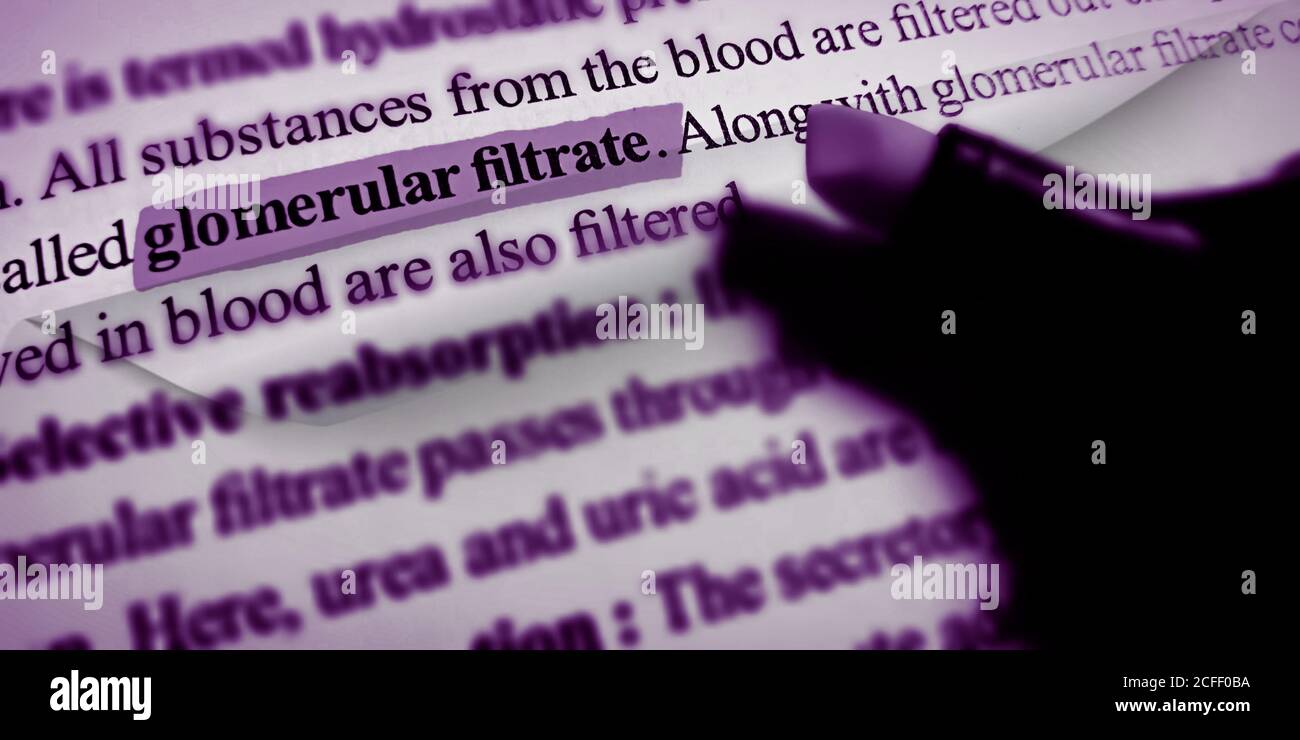 Glomerular filtration word highlighted with closeup view on book word