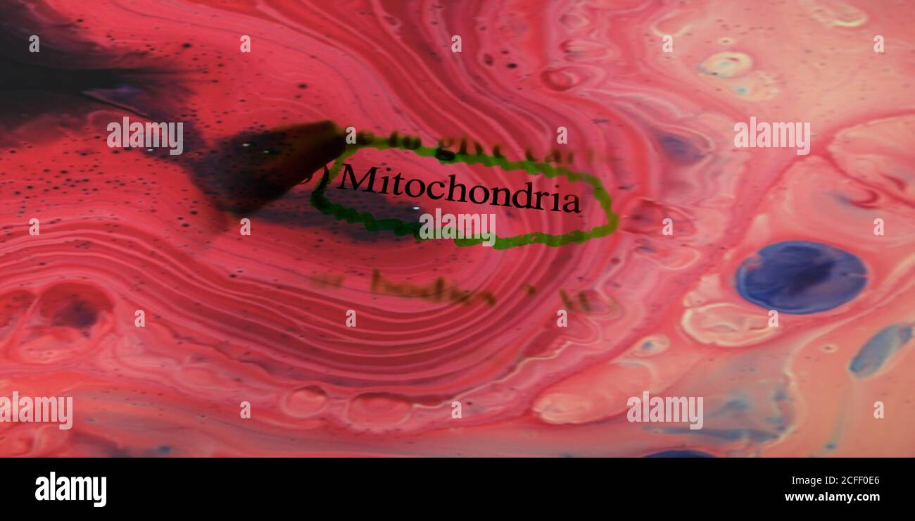 ArtStation - Mitochondria, Chloroplasts & DNA Prisons - OH MY !!