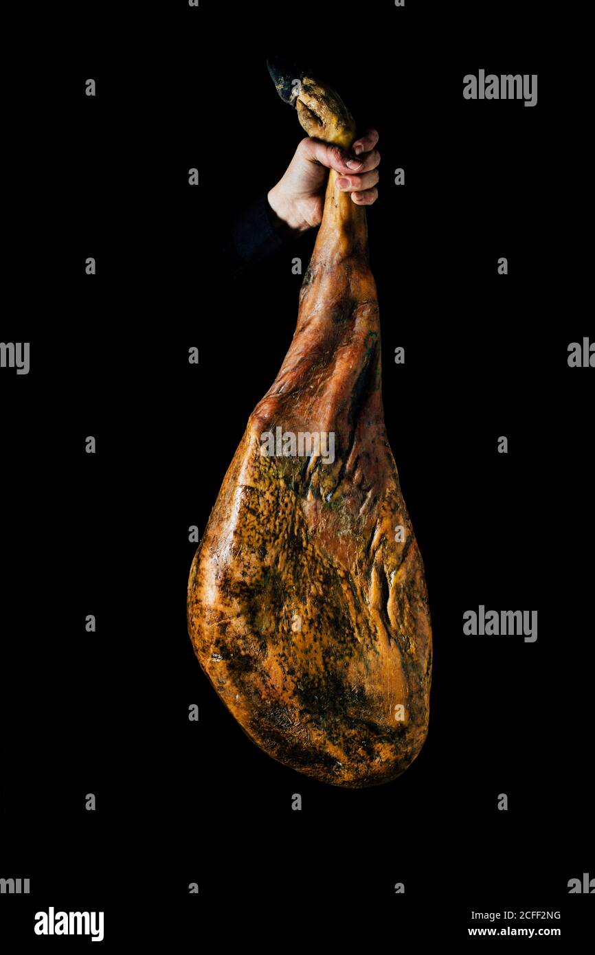 Crop unrecognizable person hand holding up a whole drycured ham leg on