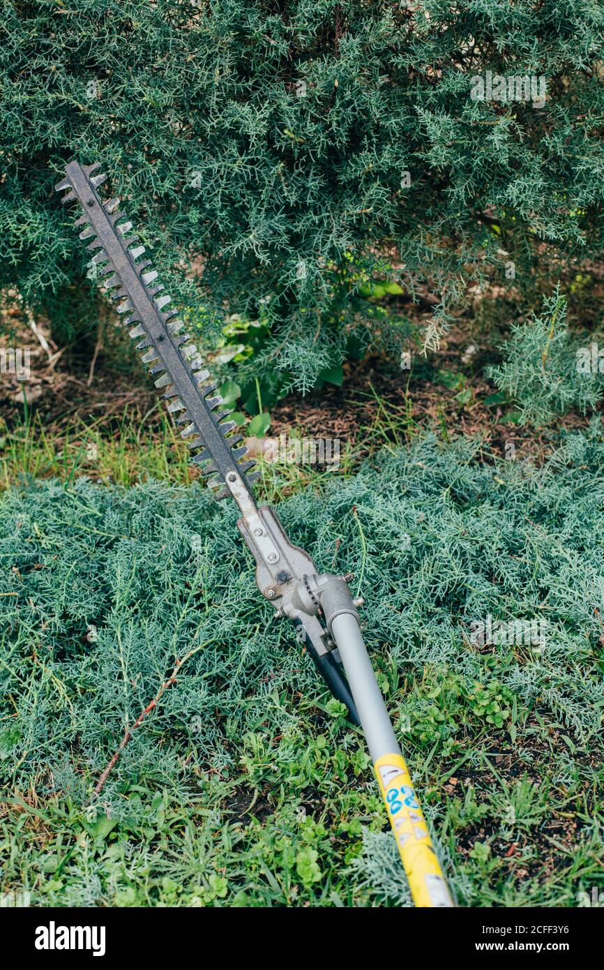 Mechanical hedge trimmer deals