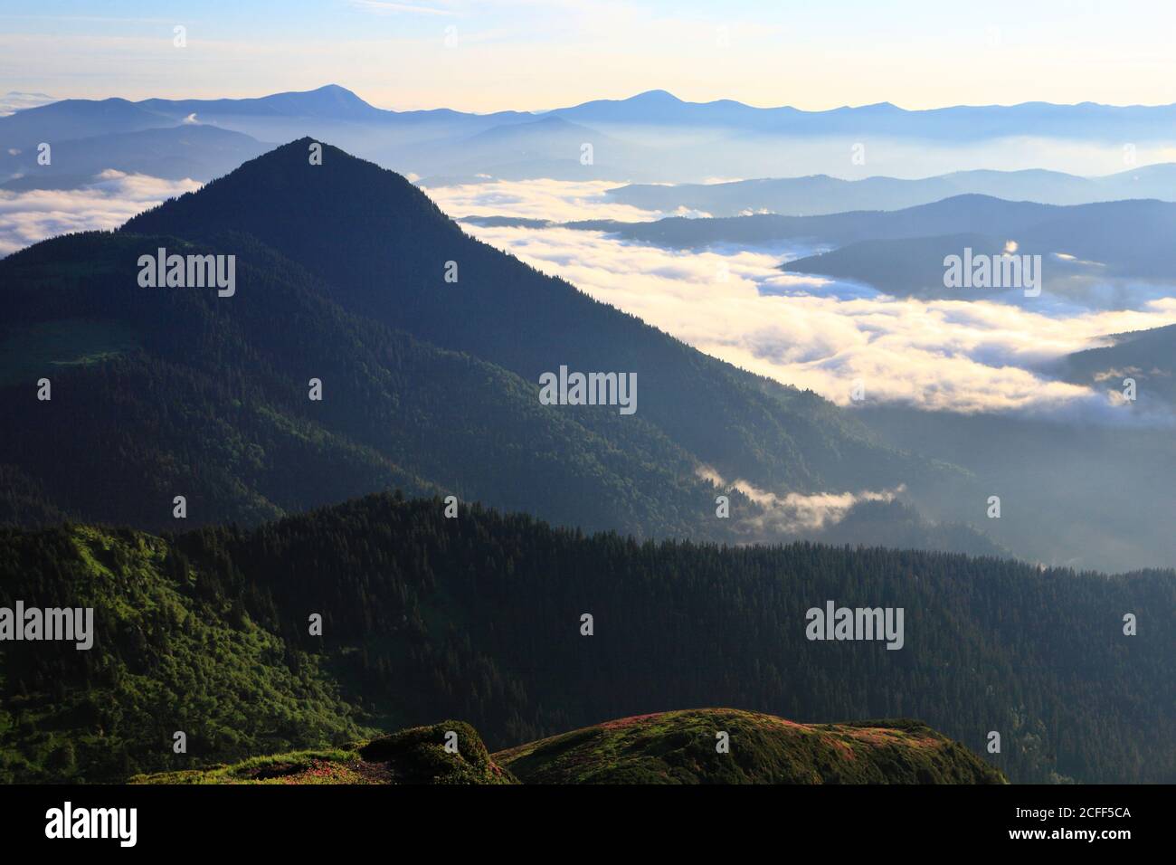 Morning light in the mountains. Eastern Carpathians Stock Photo - Alamy