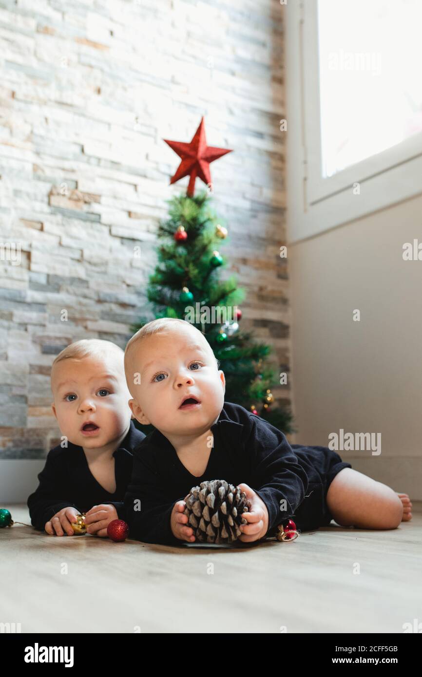 Adorable baby twins in pajamas playing with baubles and conifer cone while lying on floor near Christmas tree at home Stock Photo