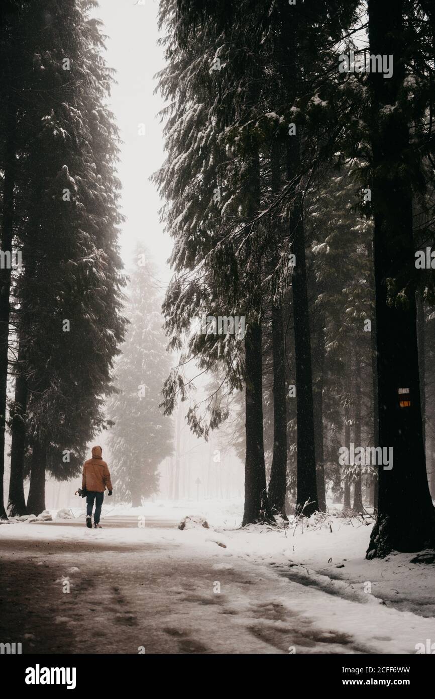Walking tourist in snowy forest hi-res stock photography and images - Alamy