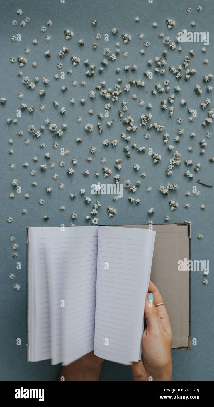 From above clear notebook in hand of crop person on blue surface with tiny scattered flowers Stock Photo