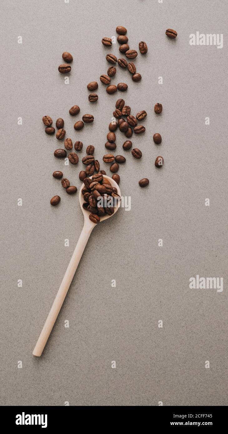 Fragrant brown coffee beans in spoon being scattered around on gray background Stock Photo