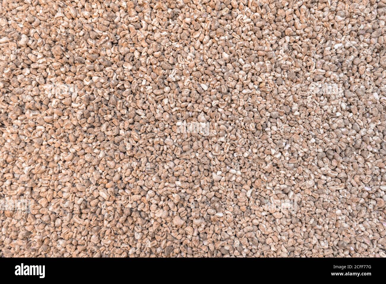 Corn cob litter background. Pet bedding for small animal, rodents