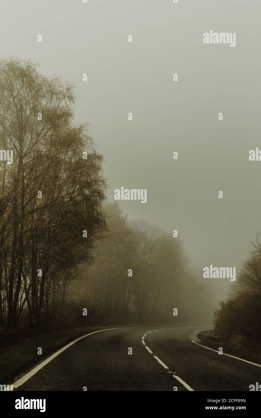 Mystic foggy forest road hi-res stock photography and images - Alamy