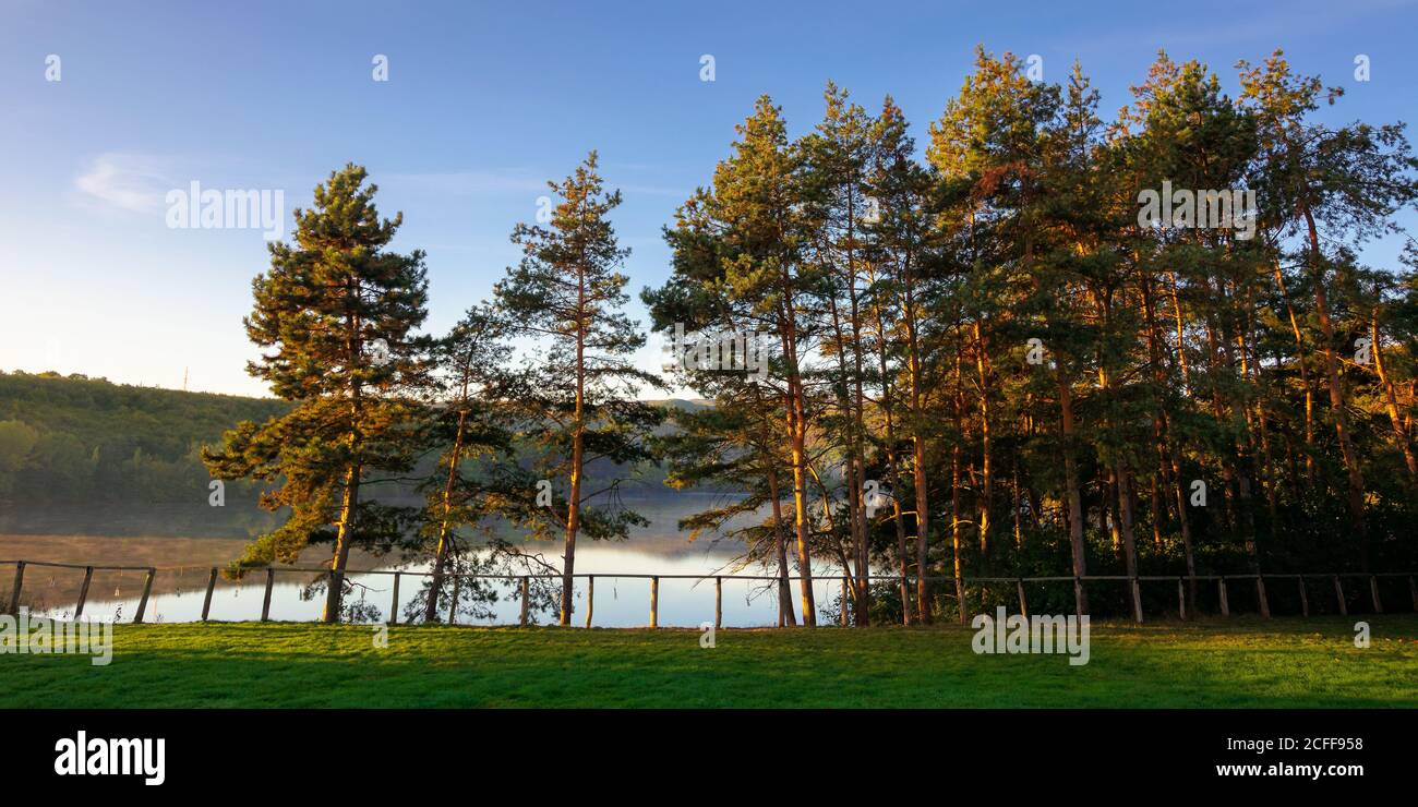 pine trees on the Gilau lake of cluj country. sunny morning autumn scenery on the shore. reflection on the calm water surface. beauty of romanian land Stock Photo