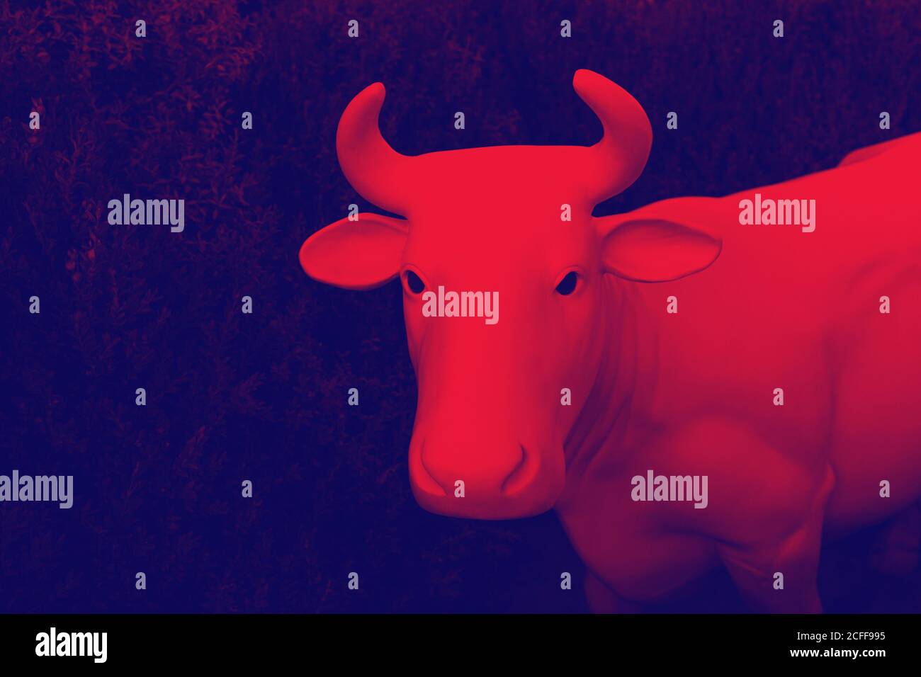 abstract cow duotone in vibrant bold gradient holographic colors ...