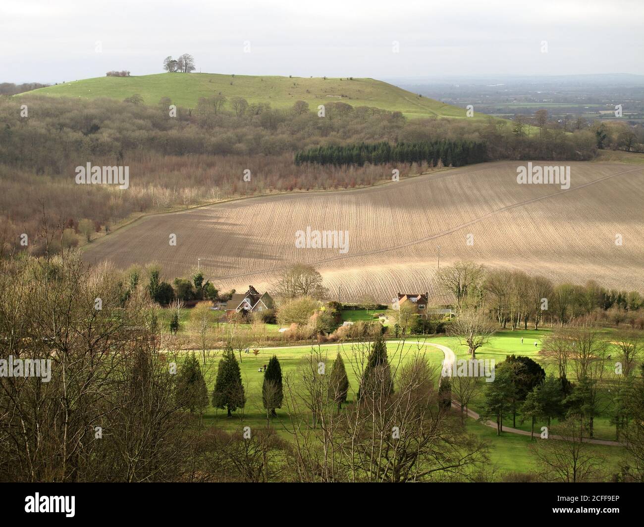 View south towards Beacon Hill from Coombe Hill on the Chilterns escarpment, Buckinghamshire Stock Photo