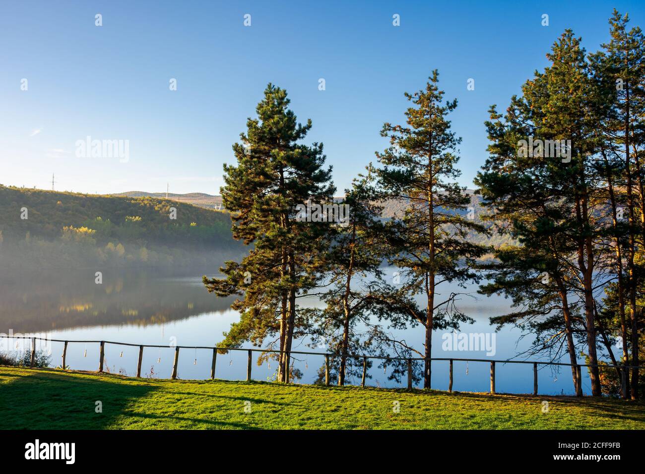 pine trees on the Gilau lake of cluj country. sunny morning autumn scenery on the shore. reflection on the calm water surface. beauty of romanian land Stock Photo