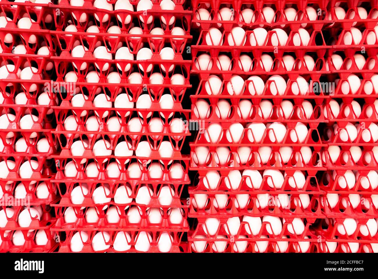 Closeup isolated view of many red colored plastic trays with white chicken eggs delivered to a