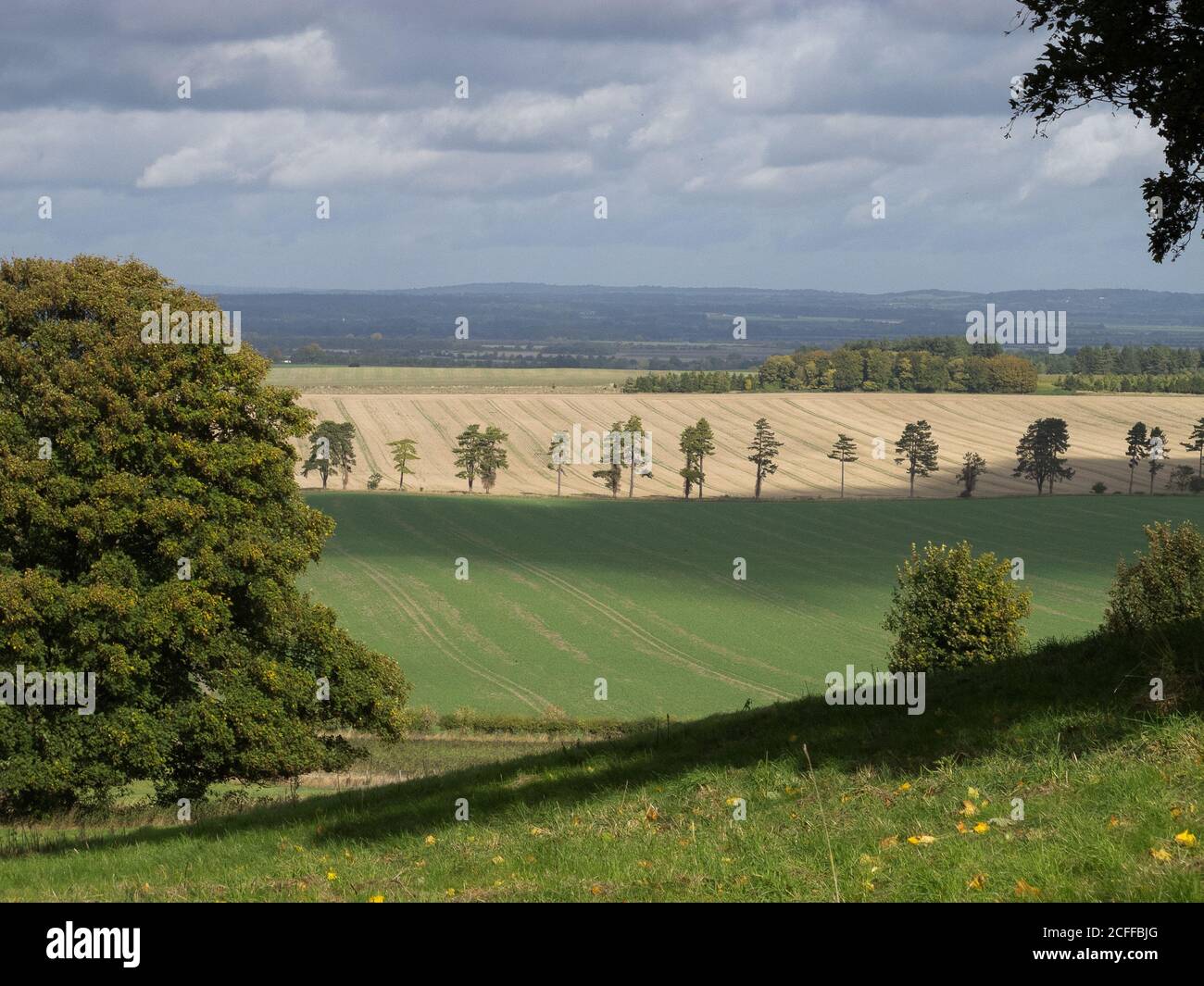 The Vale of White Horse viewed from the Ridgeway near East Ginge Stock Photo