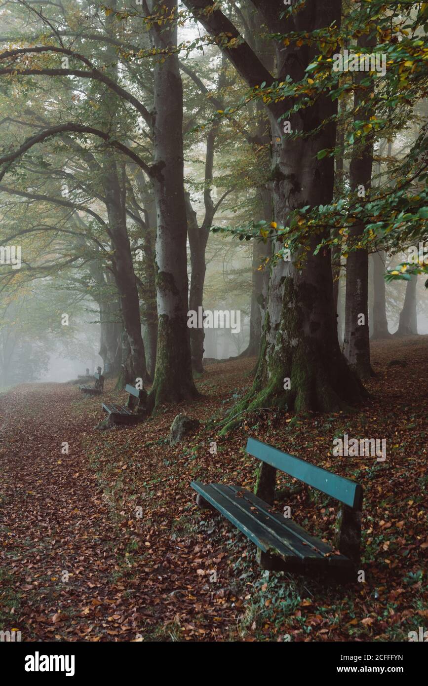 Dry tree along empty hi-res stock photography and images - Alamy