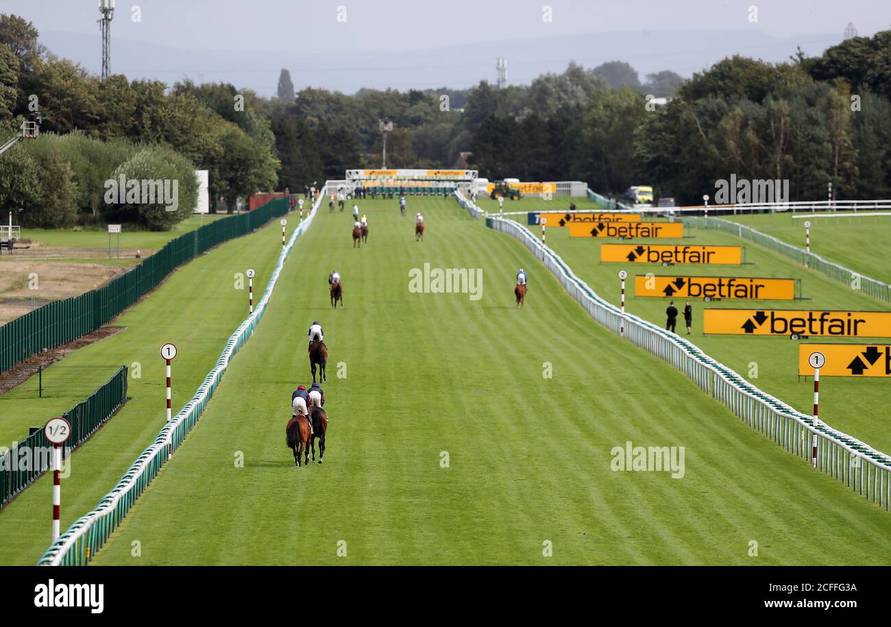 Runners and riders going to post before the Betfair Sprint Cup Stakes during Betfair Sprint Cup Day 2020 at Haydock Racecourse, Newton-le-Willows. Stock Photo