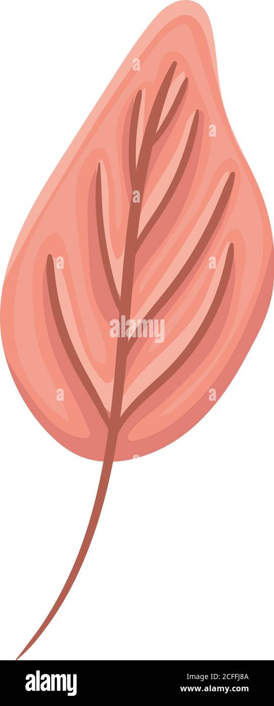 Isolated autumn leaf vector design Stock Vector Image & Art - Alamy