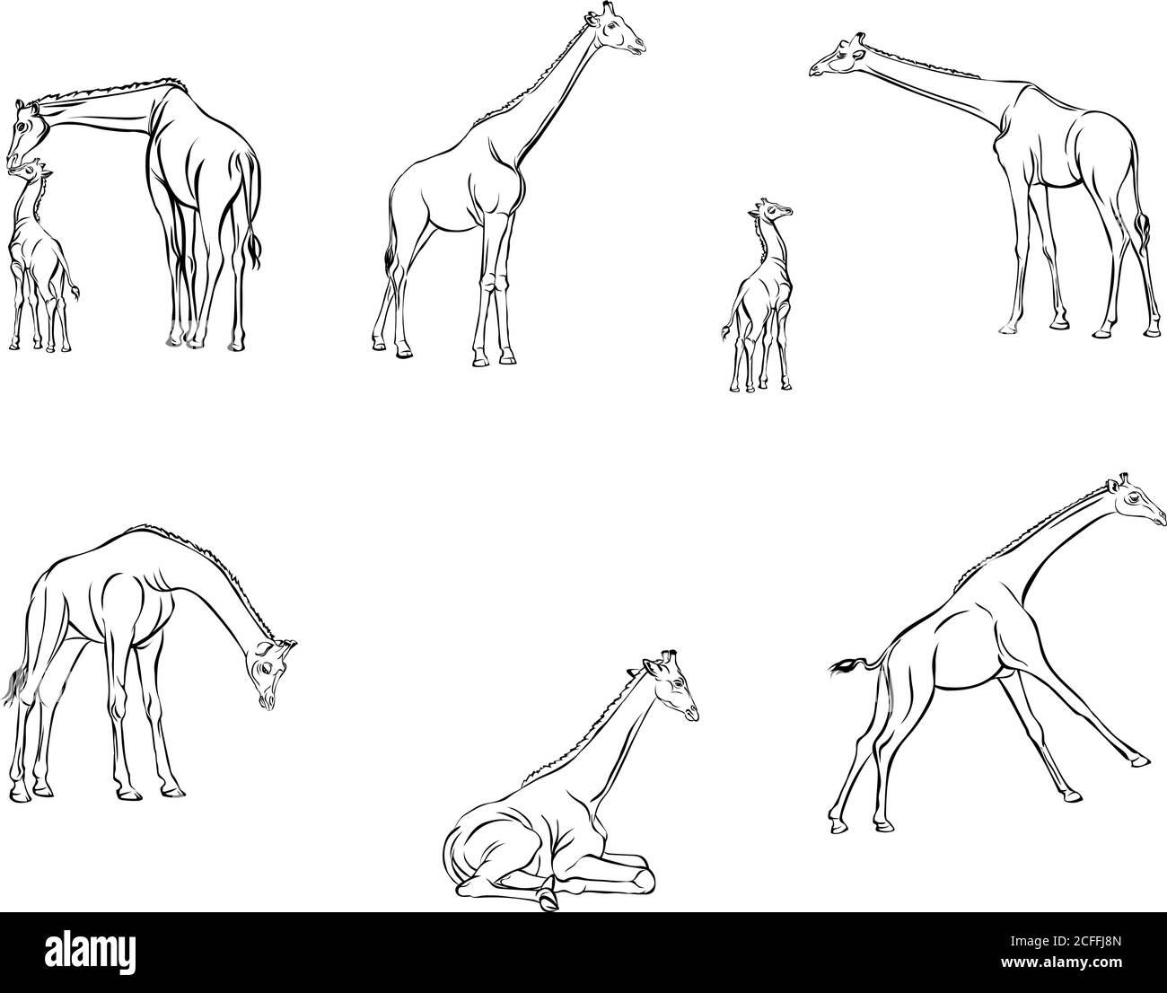 giraffe, figure, black, animal, illustration, symbol, vector, design, drawing, beast, zoo, picture, isolated, line, mammal, spotty, safari, neck Stock Vector