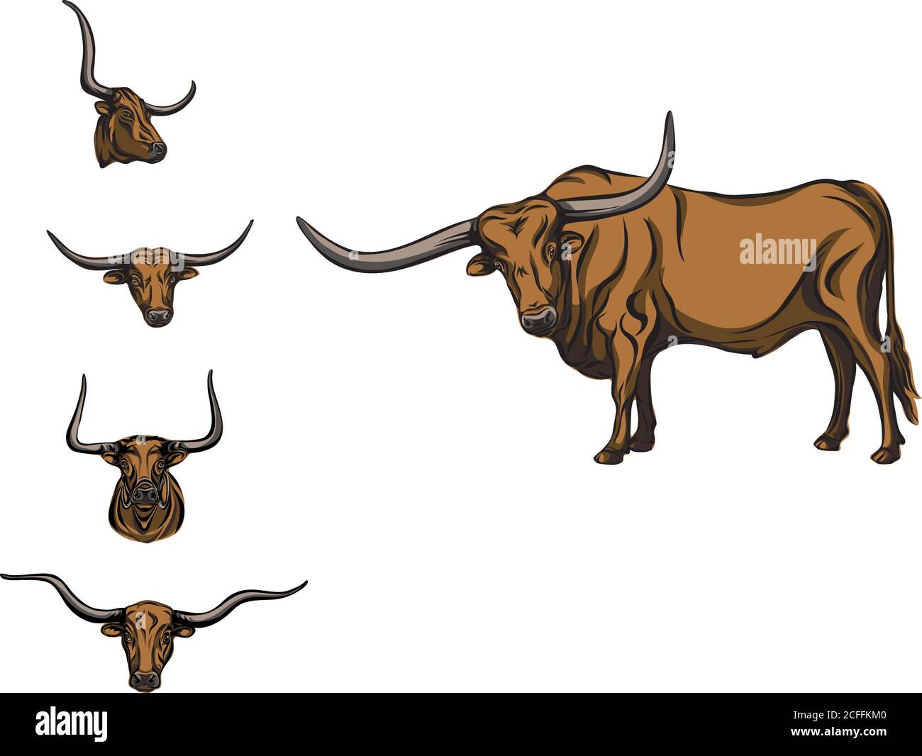 buffalo, bull, head, horns, vector, picture, drawing, black, animal, animal husbandry, stock-raising, isolated, illustration, hoofs, big, line, mammal Stock Vector