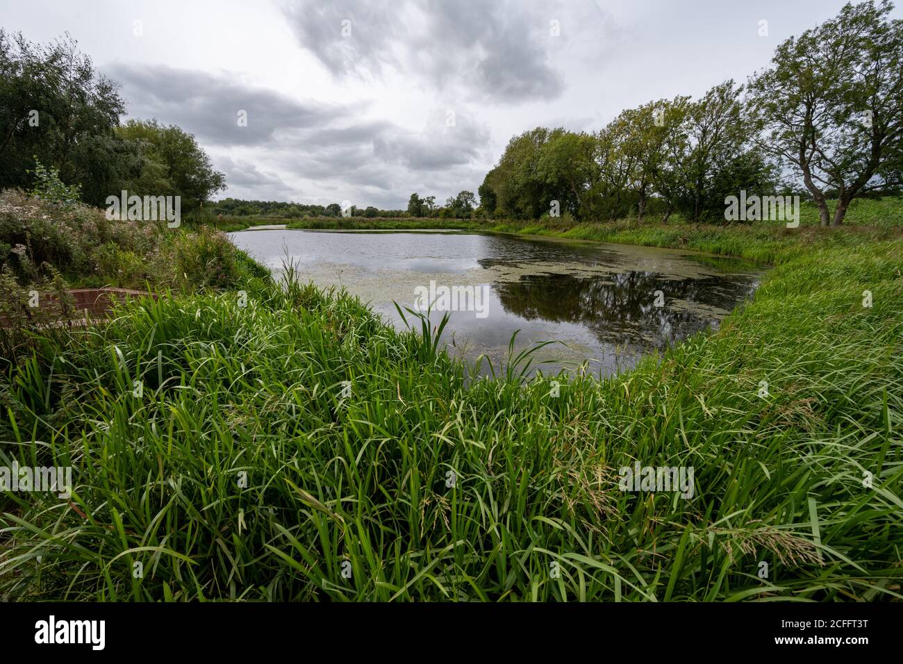 Aston Locks nature reserve next to the Montgomery Canal in Shropshire UK Stock Photo