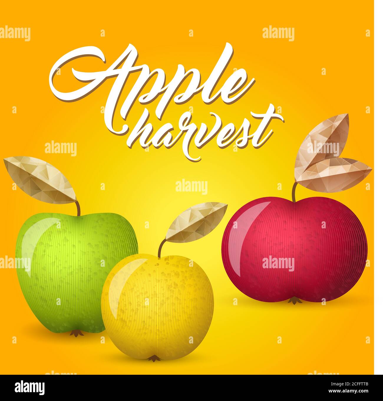 Three ripe apples - green, yellow and red - vector illustration. Colorful autumn apples with leaves. Stock Vector