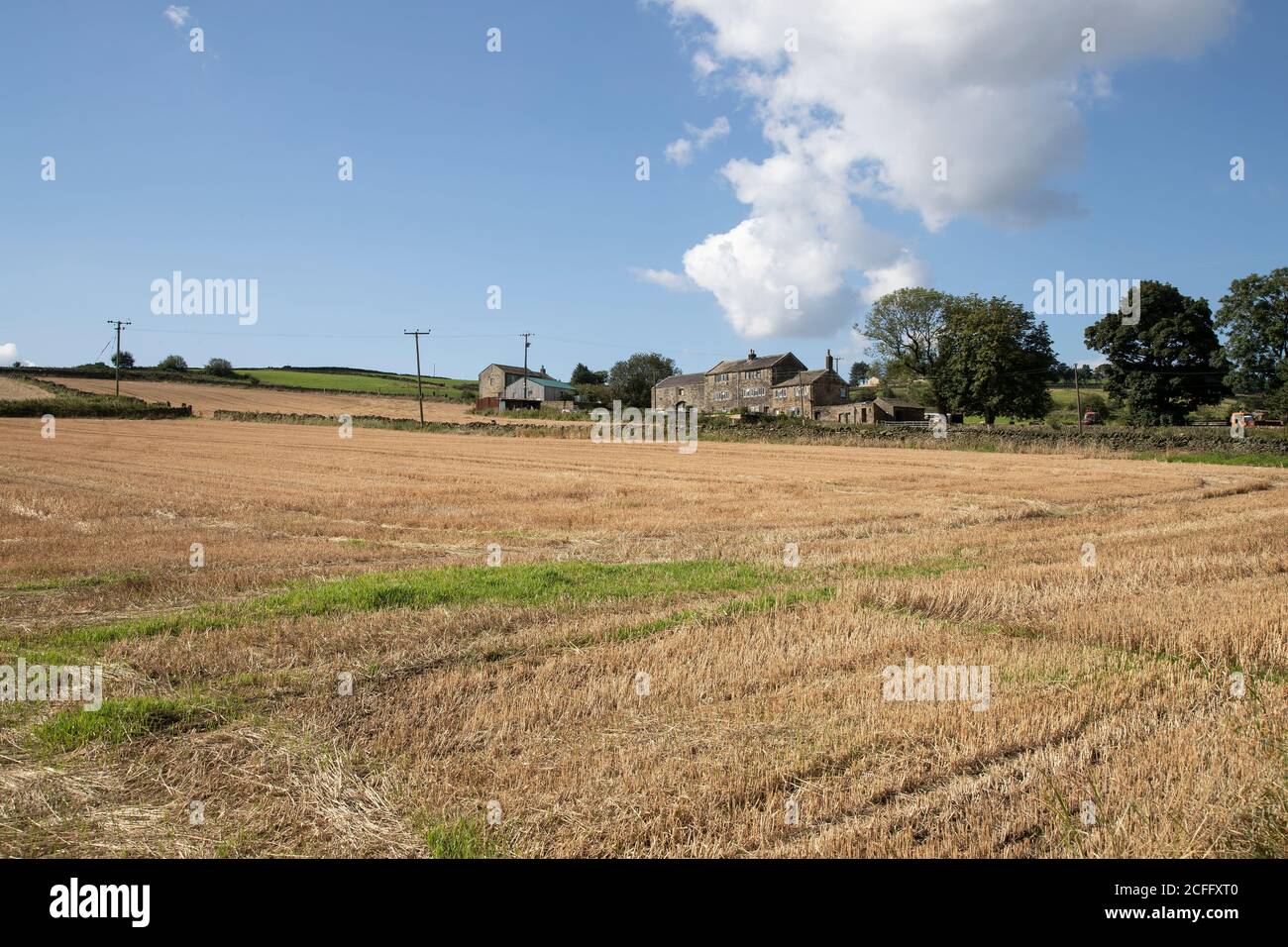 A stone built Yorkshire farm and outhouses on a clear summers day with a newly mown corn field in the foreground following the August harvest Stock Photo