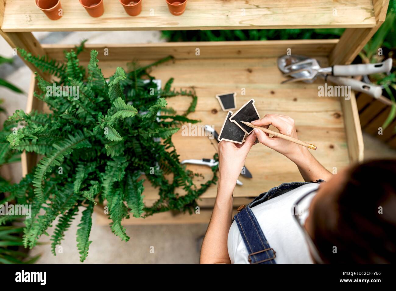 Top view of anonymous Woman making notes on labels while standing near wooden table with potted plant in indoor garden Stock Photo