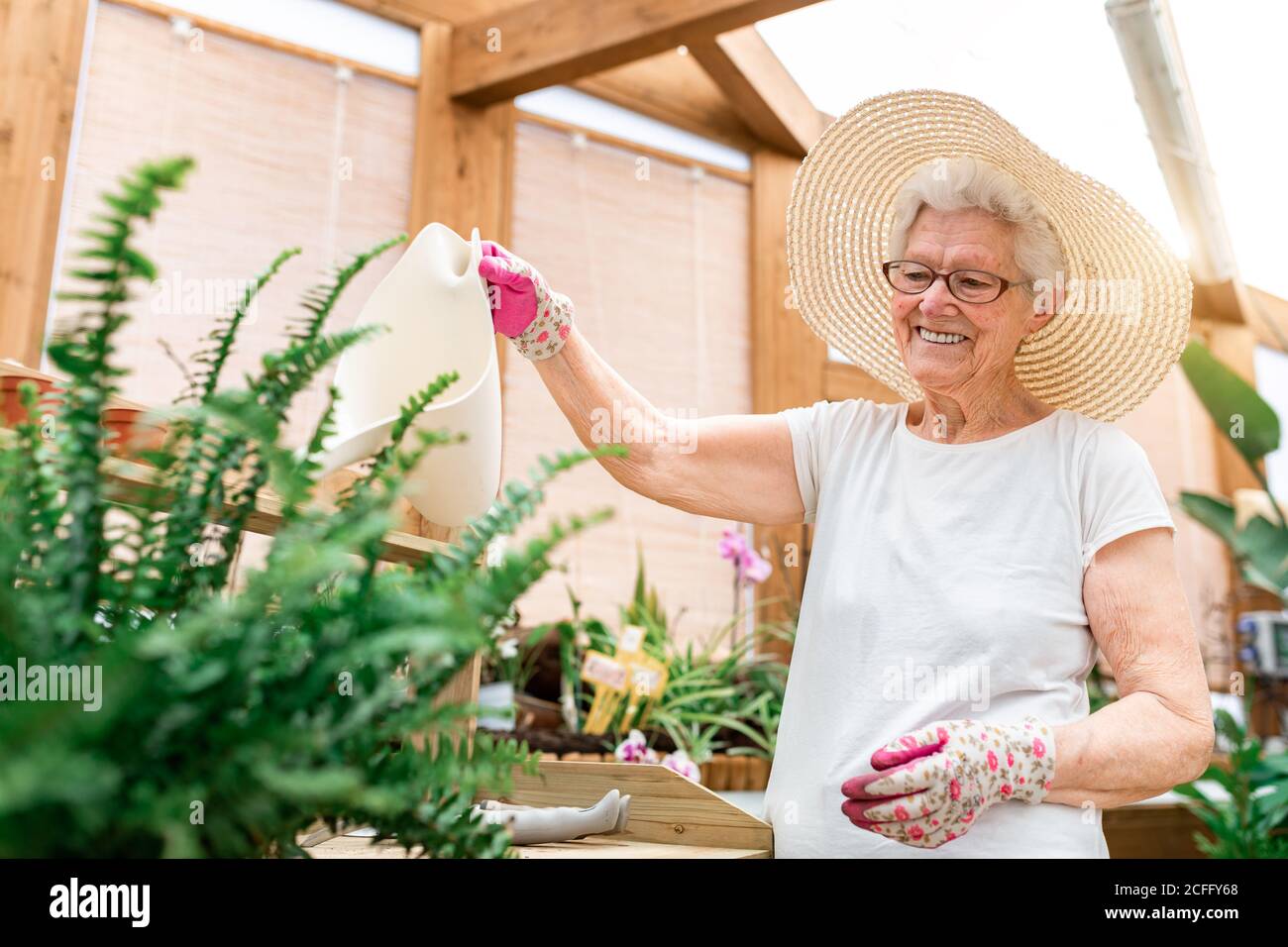 Cheerful elderly gardener smiling and watering green plants on wooden terrace Stock Photo