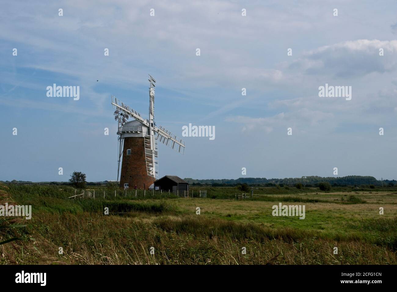 Restored Wind Pump at Horsey, Norfolk Broads. Sails static. Vegetation in foreground. Clear blue sky. Medium view. Sails side on to camera position. Stock Photo