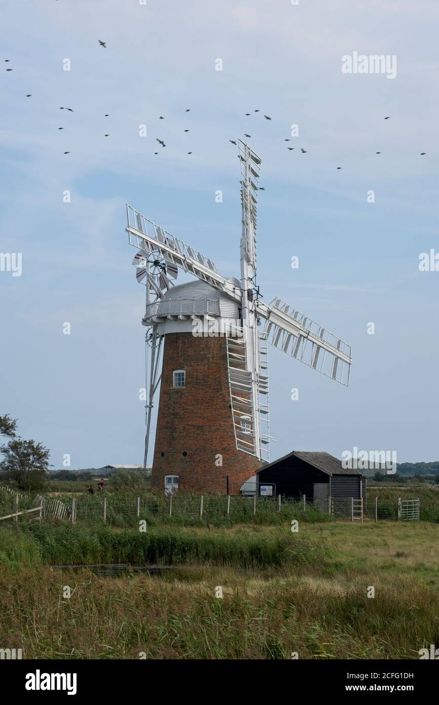 Restored Wind Pump at Horsey, Norfolk Broads. Sails static. Vegetation in foreground. Clear blue sky. Close up view. Sails side on to camera position. Stock Photo