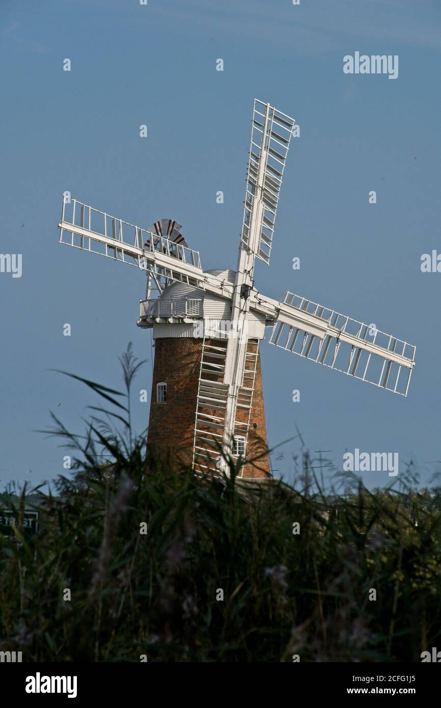 Restored Wind Pump at Horsey, Norfolk Broads. Sails static. Vegetation in foreground. Clear blue sky. Close up view. Sails facing camera position. Stock Photo