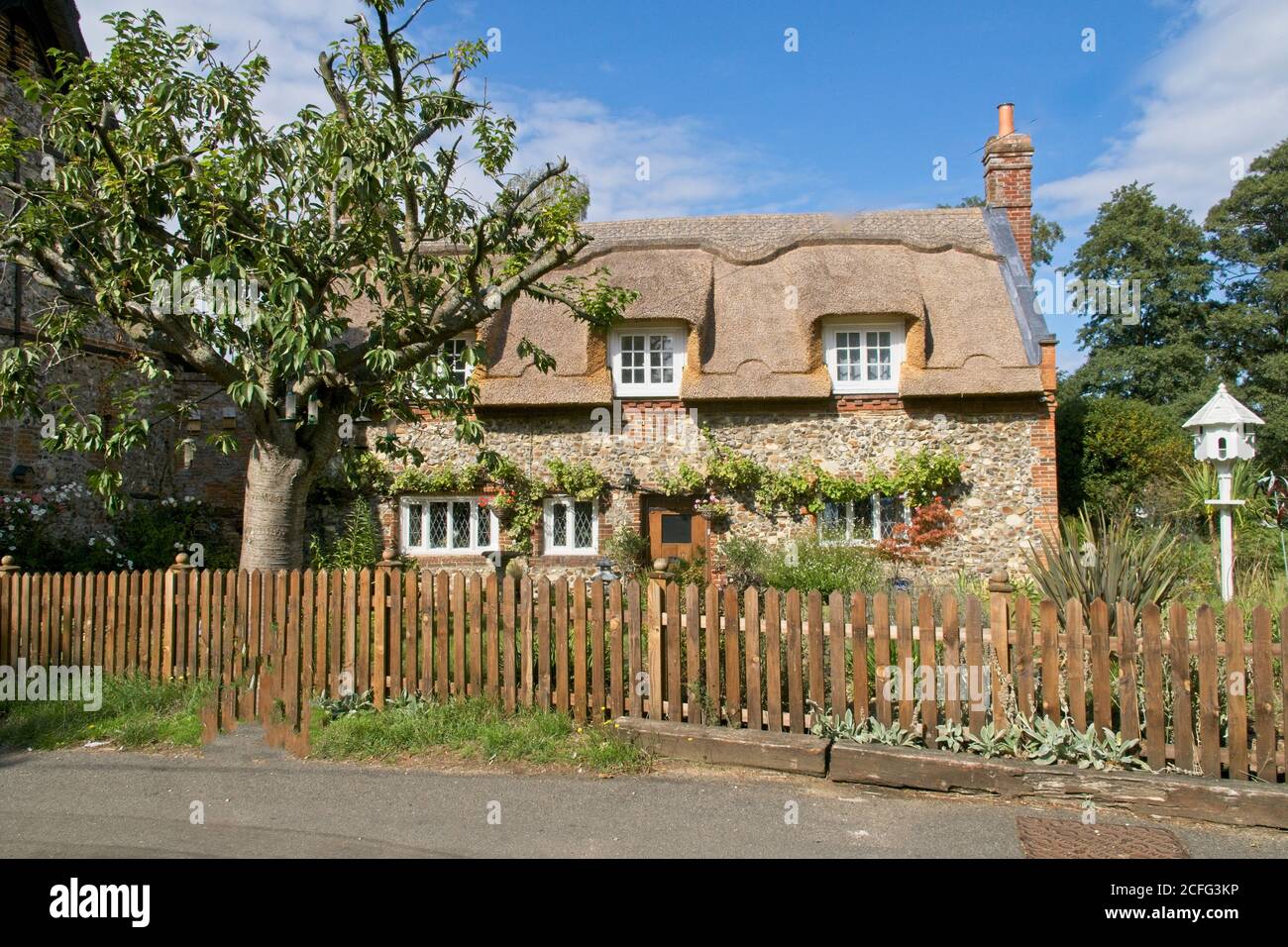 Thatched cottage near Norfolk Broads. Frontal view from road with tree, fence and bird table to the front. Blue sky and light clouds. Landscape format Stock Photo