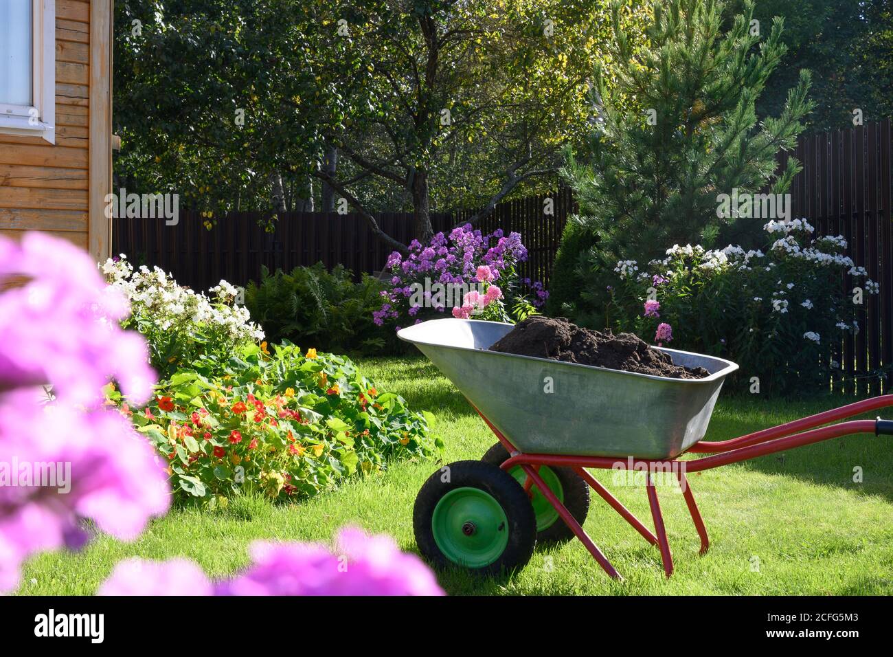 Wheelbarrow full of compost on yard Stock Photo Alamy