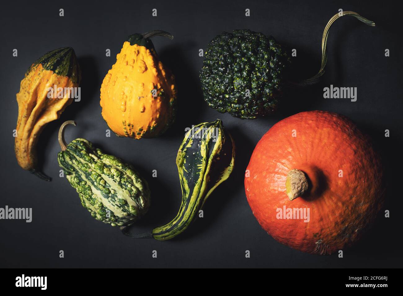 group of decorative pumpkins on dark black background. top view Stock ...