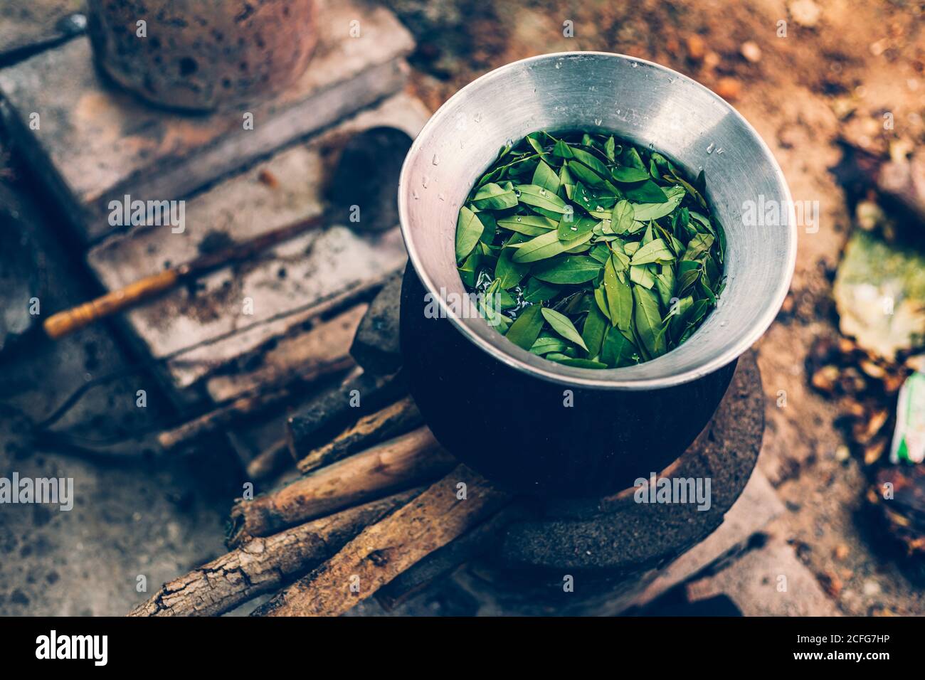Cassia Tree,Thai Copper Podl in pot for boiling make food and aroma herb. Stock Photo