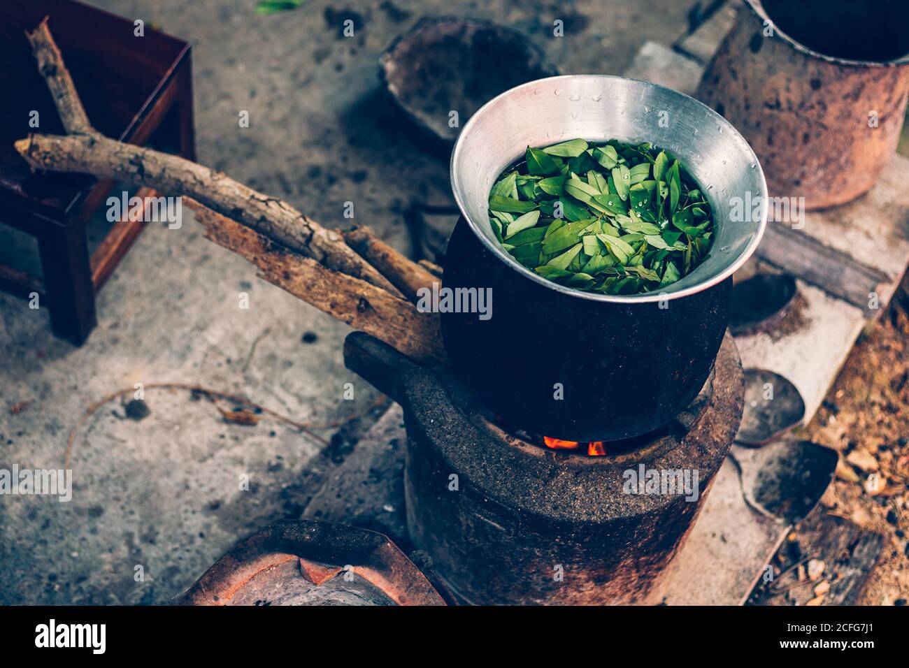 Cassia Tree,Thai Copper Podl in pot for boiling make food and aroma herb. Stock Photo