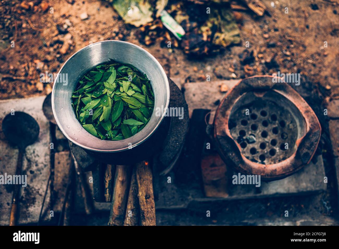 Cassia Tree,Thai Copper Podl in pot for boiling make food and aroma herb. Stock Photo