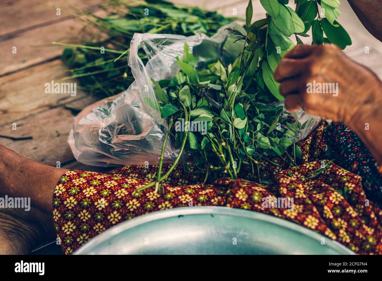 Cassia Tree,Thai Copper Podl. Old women sitting on wood table and prepare cooking with Food ingredient. Stock Photo