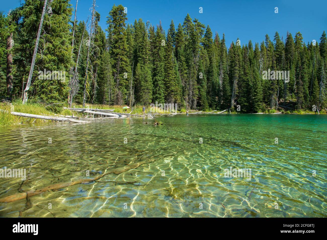 USA, Pacific Northwest, Oregon, Deschutes County, Deschutes National Forest, Blue Lagoon Stock Photo