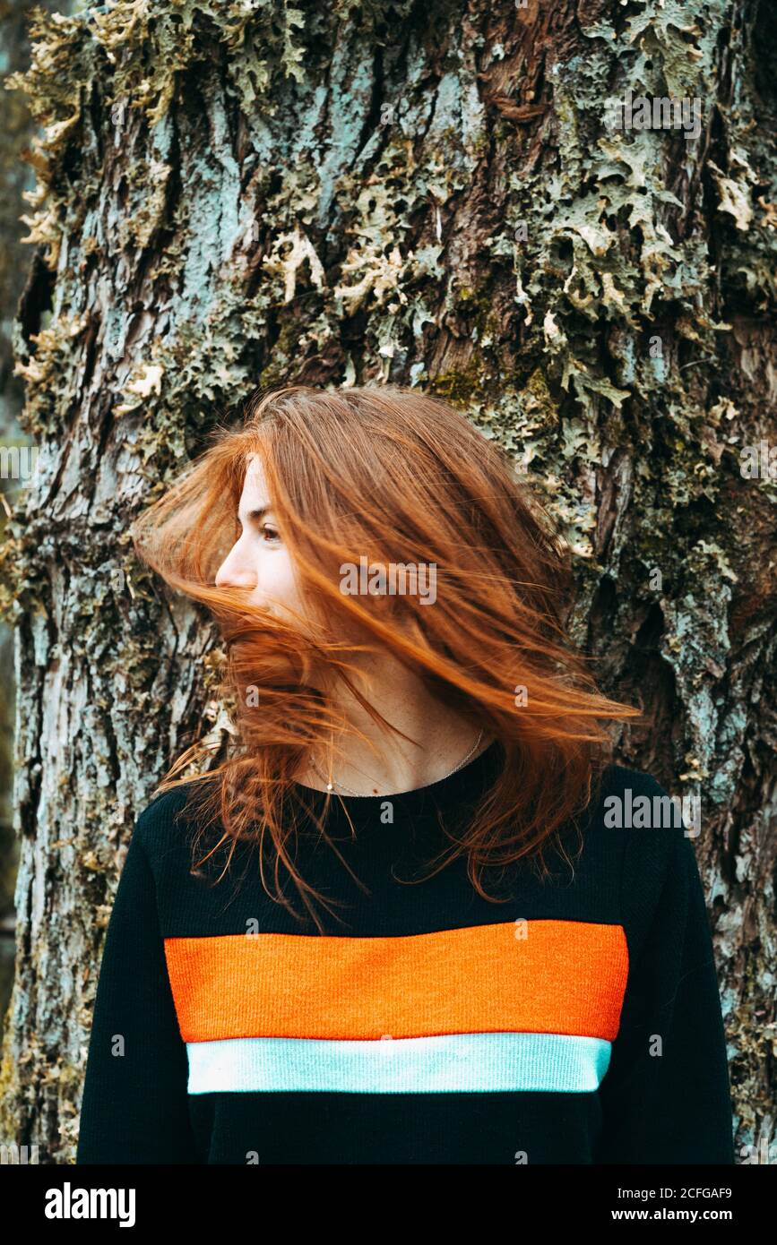 Beautiful young Woman in casual sweatshirt waving with ginger colored hair against old tree, Scotland Stock Photo