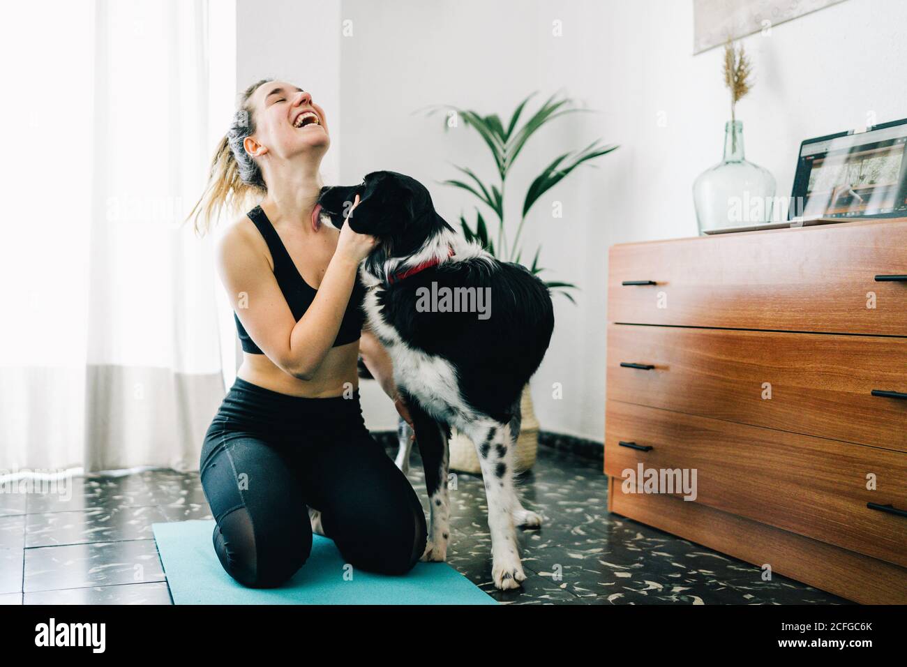 Why Does My Dog Lick The