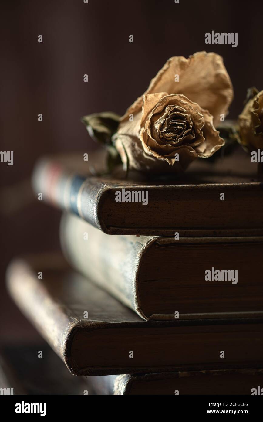 Pile old books flowers hi-res stock photography and images - Alamy