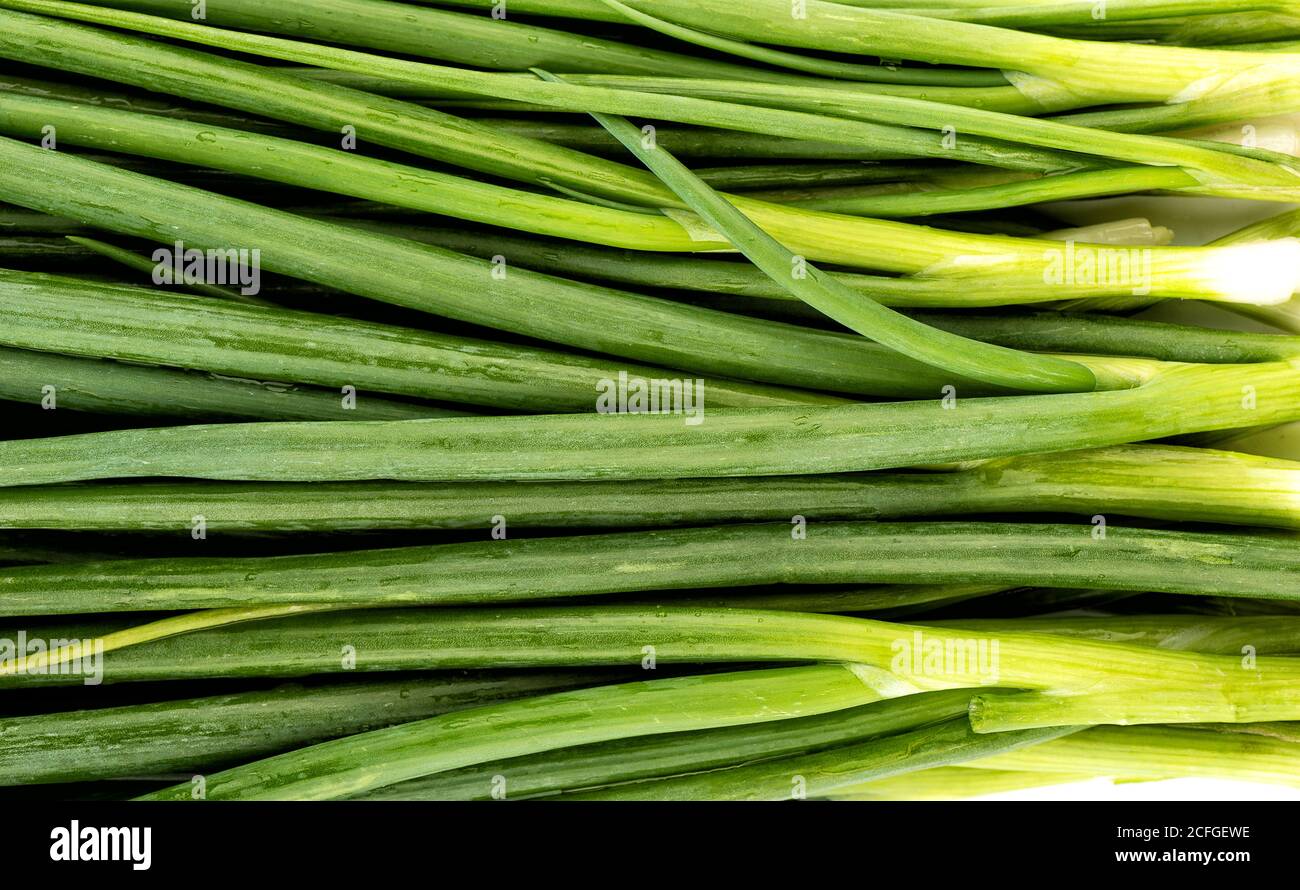 Fresh green onions as a background. View from above Stock Photo - Alamy