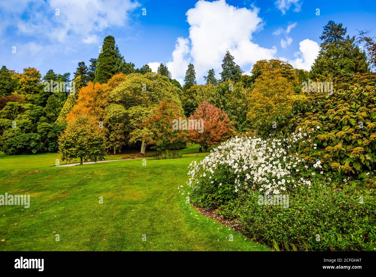 Killerton National Trust House and Garden in Devon. Stock Photo