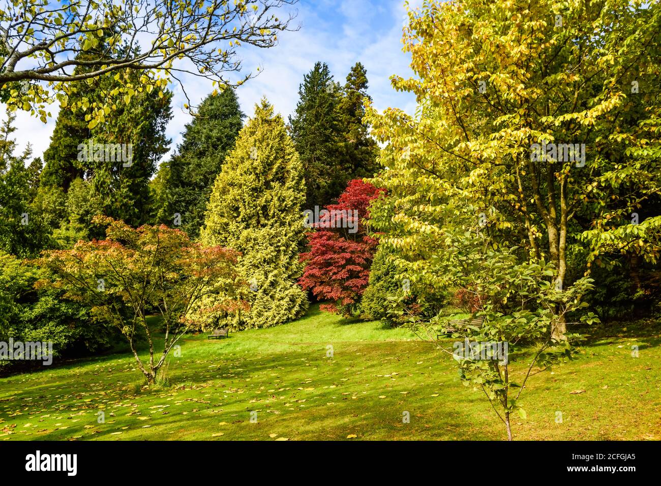Killerton National Trust House and Garden in Devon. Stock Photo